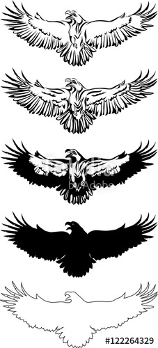 227x500 The Eagle, Soaring Eagle, Flying, Illustration, Color, Vector