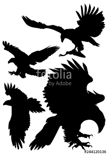 347x500 Soaring Eagles Vector Illustration Stock Image And Royalty Free