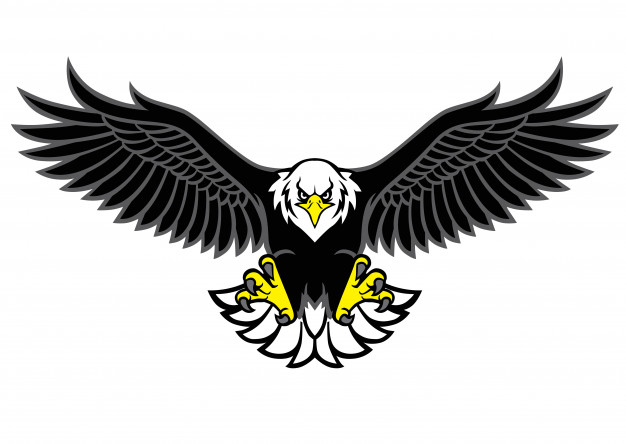 Soaring Eagle Vector at Vectorified.com | Collection of Soaring Eagle Vector free for