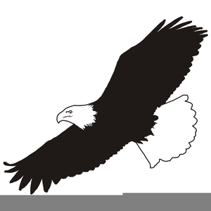300x300 Free Clipart Eagle Soaring Free Images