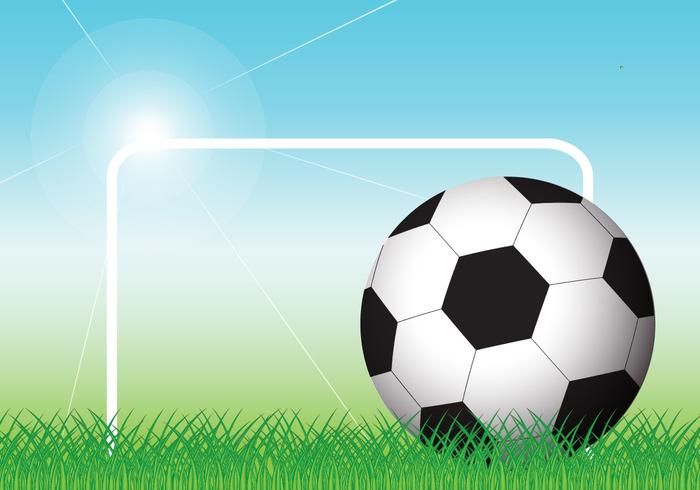 Soccer Ball Vector 700x490 Soccer Ball Vector
