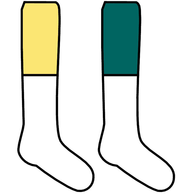 660x660 Socks Vector Image