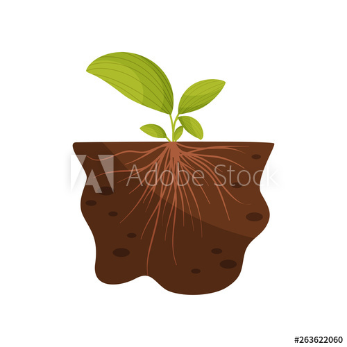 Large Leaves And Thin Roots In The Soil Vector Illustration 500x500 Large Leaves And Thin Roots In The Soil Vector Illustration