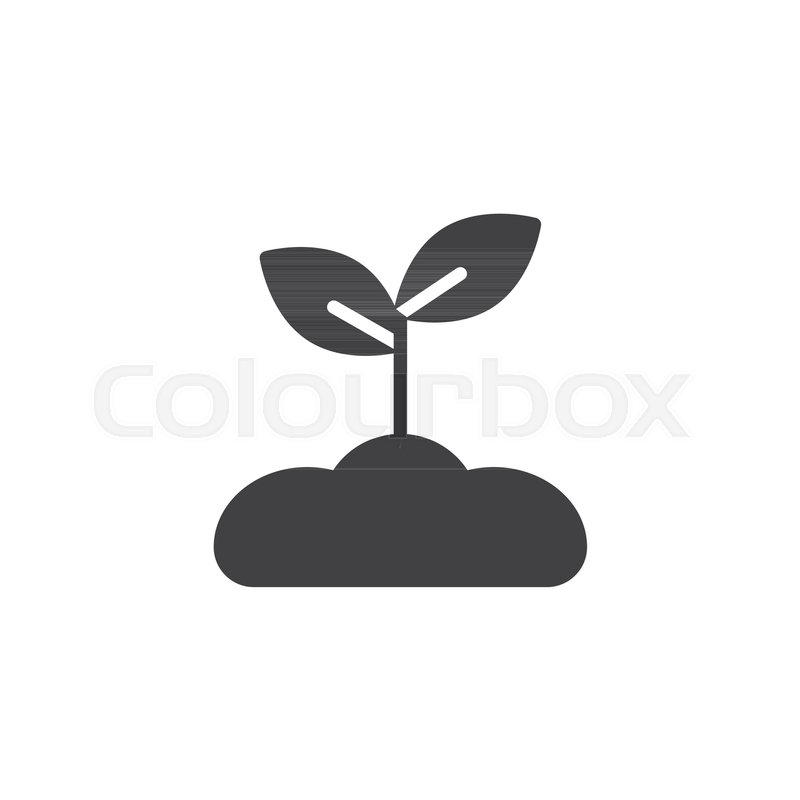 Plant Soil Vector Icon Filled Flat Stock Vector Colourbox 800x800 Plant Soil Vector Icon Filled Flat Stock Vector Colourbox