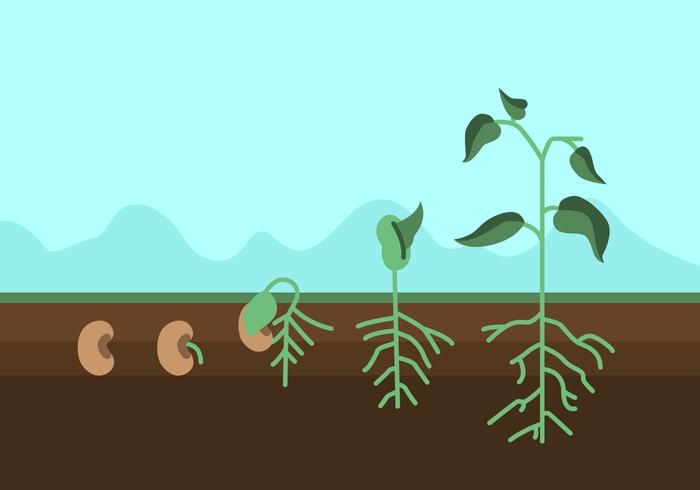 Soil Free Vector Art 700x490 Soil Free Vector Art