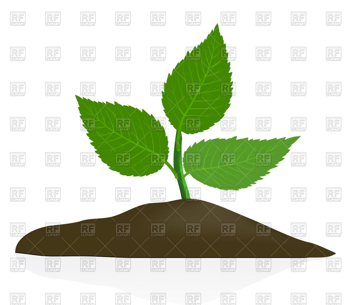 Young Plant In Dark Soil Vector Image Of Plants And Animals 1200x1041 Young Plant In Dark Soil Vector Image Of Plants And Animals