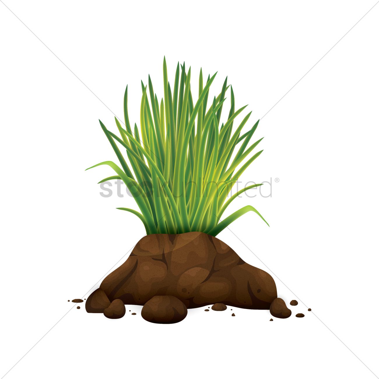 Grass On Soil Vector Image 1300x1300 Grass On Soil Vector Image