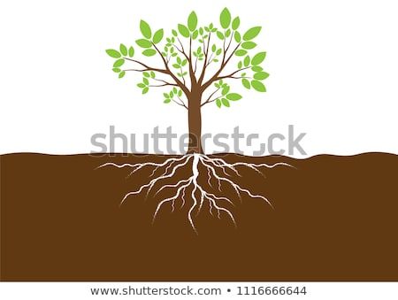 Green Leaves And Brown Tree With Roots In The Soil Vector 450x339 Green Leaves And Brown Tree With Roots In The Soil Vector