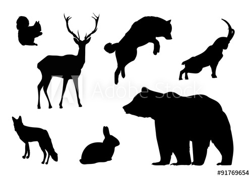 500x354 Sombras De Animales
