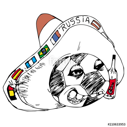 500x500 Sombrero Mexicano En Russia Stock Image And Royalty Free Vector