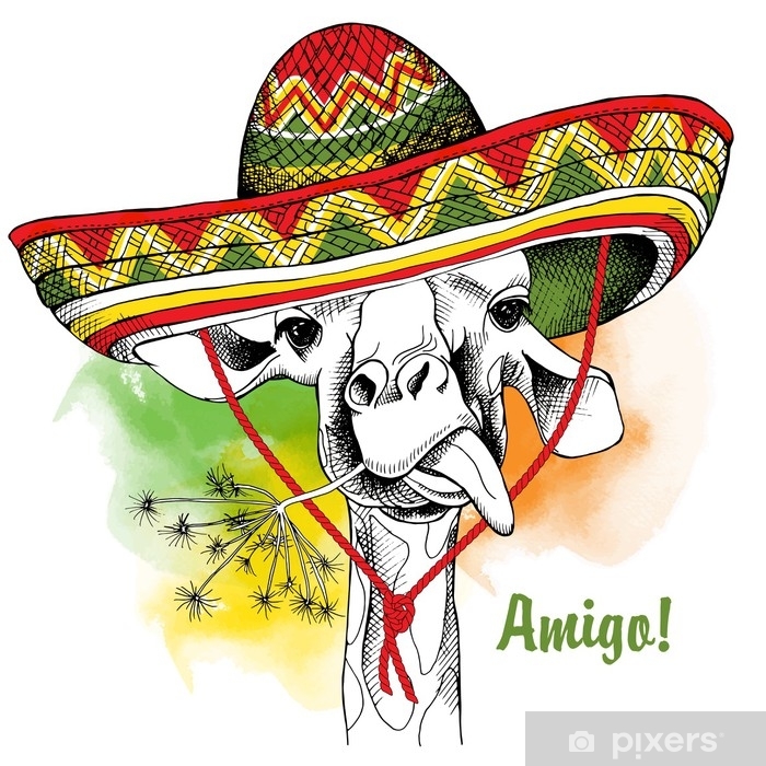 700x700 Poster With The Image Of A Giraffe In A Mexico Sombrero Vector