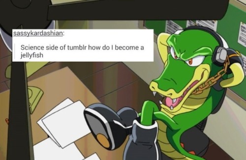 Espio X Vector Tumblr 500x327 Espio X Vector Tumblr