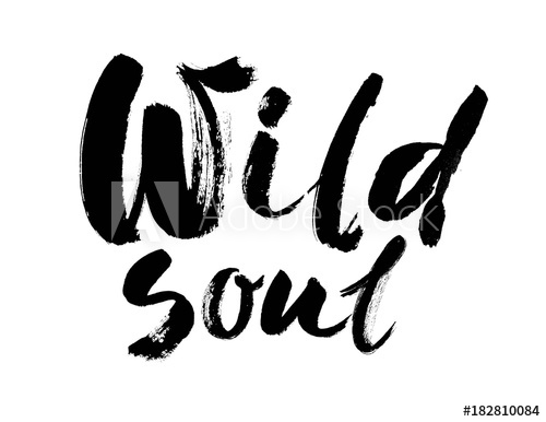 500x386 Wild Soul Vector Lettering Illustration Hand Drawn Phrase