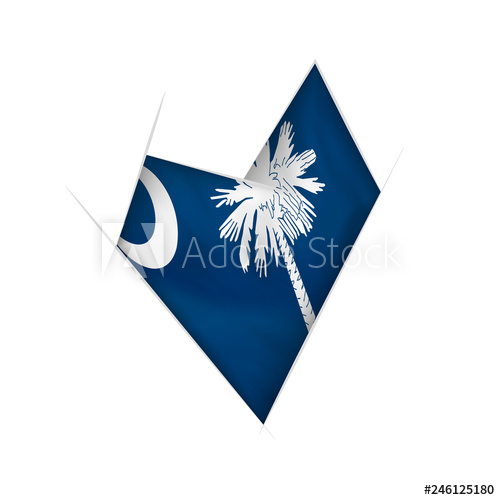 500x500 Sketched Crooked Heart With South Carolina Flag