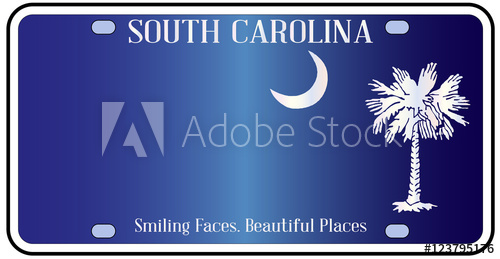 500x259 South Carolina Flag License Plate