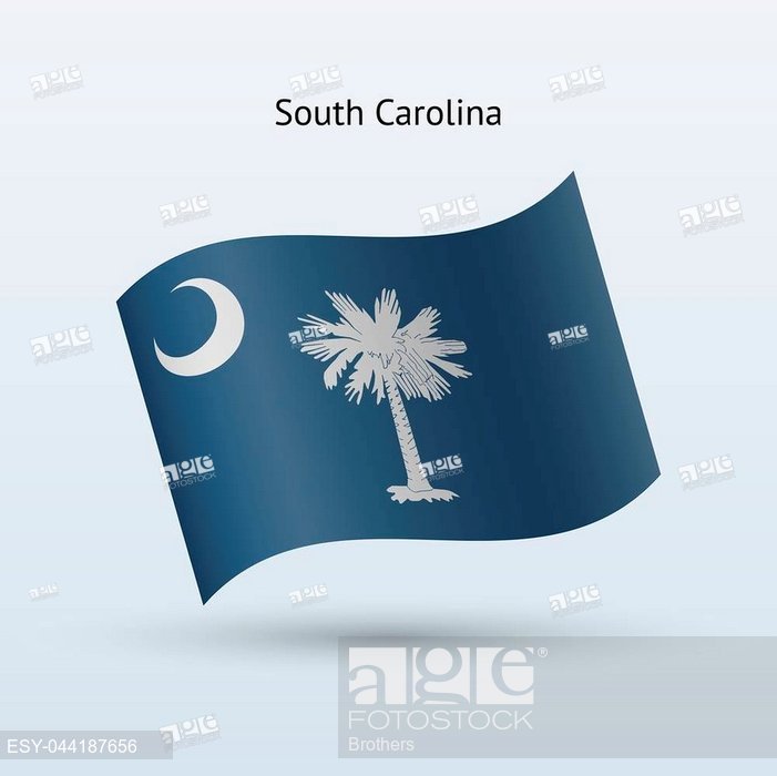 701x700 State Of South Carolina Flag Waving Form On Gray Background, Stock