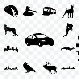 300x300 South Carolina Map Isolated On Transparent Studiogrfx