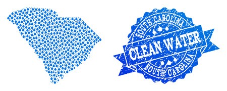 450x180 Map Of South Carolina State Vector Mosaic And Clean Water Grunge