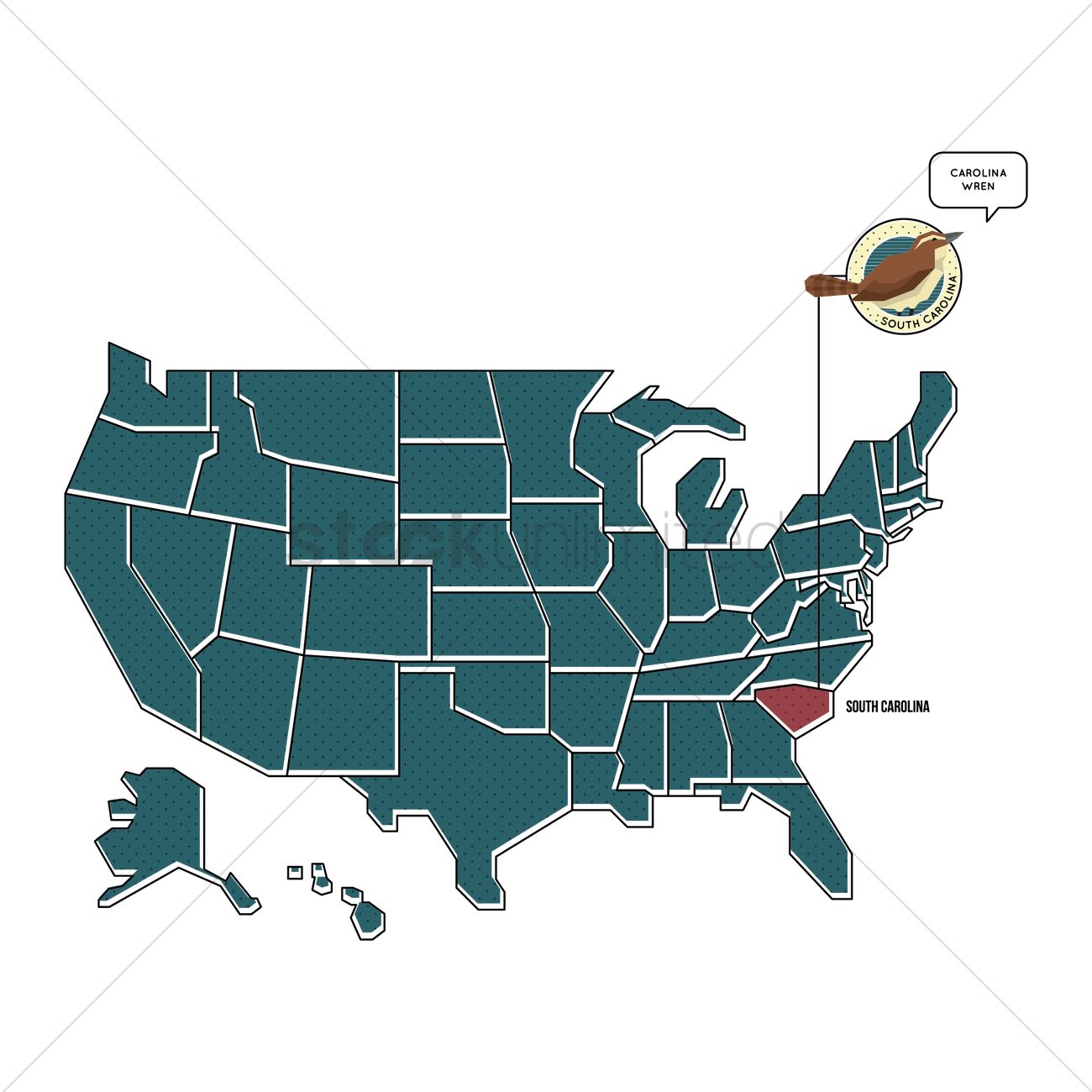 1300x1300 Us Map With South Carolina State Bird Vector Image