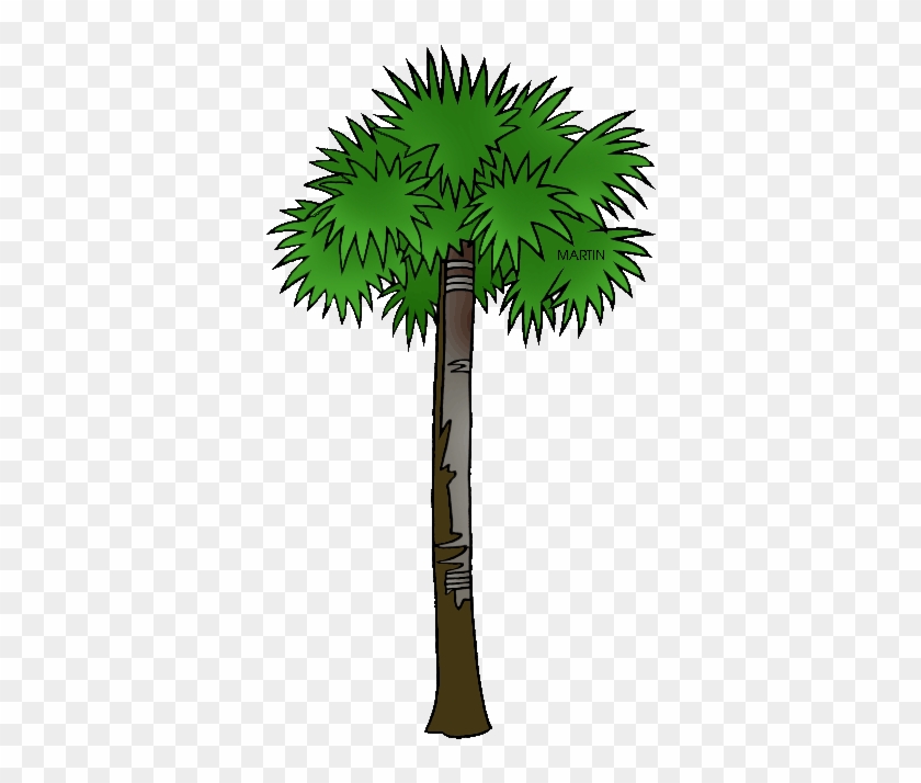 840x714 Vector South Carolina Palmetto Tree