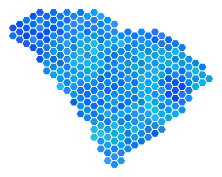 450x359 Hexagon Blue South Carolina State Map Vector Geographic Map