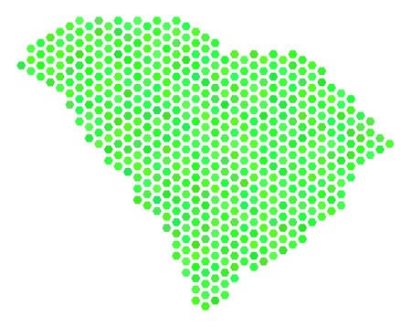 450x358 Fresh Green South Carolina State Map Vector Honeycomb Geographic
