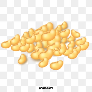 360x360 Soybean Png Images Vector And Free Download