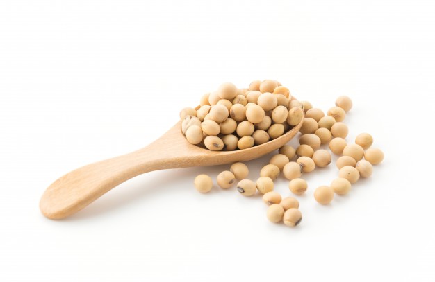 626x407 Soybean Vectors, Photos And Free Download