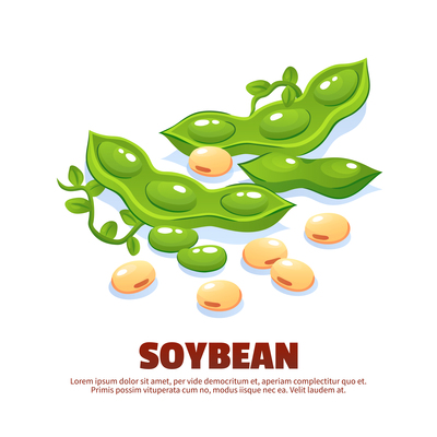 400x400 Soybean On Curated Vector Illustrations, Stock Royalty Free Images