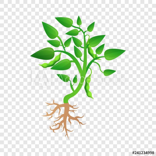 500x500 Soybean Plant Grow Up Icon Cartoon Of Soybean Plant Grow Up