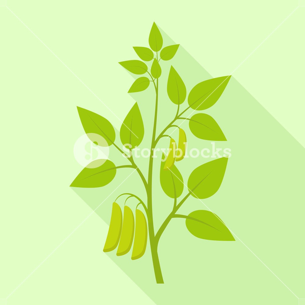 1000x1000 Soybean Plant Icon Flat Illustration Of Soybean Plant Vector Icon