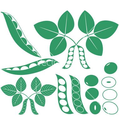 380x400 Soybean Vector Graphic Design Vector Art, Plant Leaves, Farm Logo