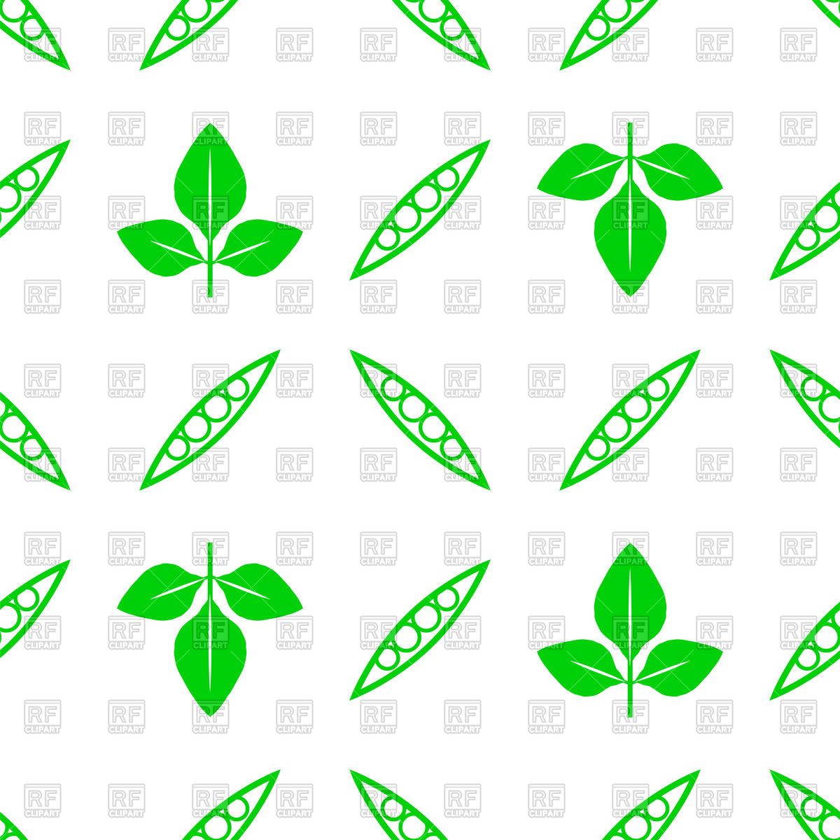 1200x1200 Green Soybeans Seamless Pattern Isolated On White Background