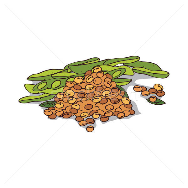 600x600 Isolated Clipart Soybean Vector Illustration Alexanderandariadna