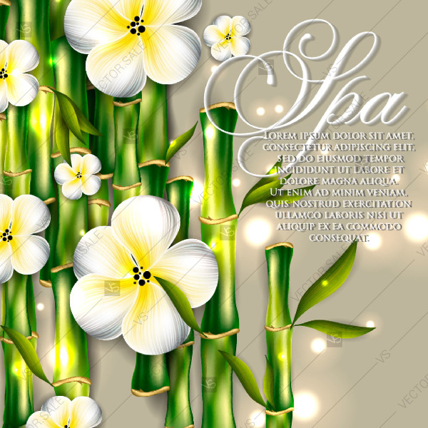 600x600 Spa Salon Invitation Template With Bamboo And Plumeria Narcissus