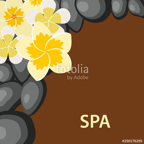 500x500 Spa Background With Stones And Flower Vector Illustration In Flat