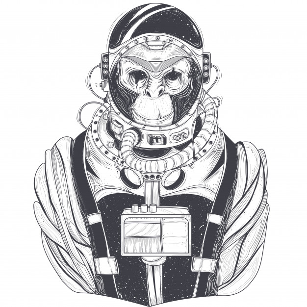 626x626 Vector Hand Drawn Illustration Of A Monkey Astronaut, Chimpanzee
