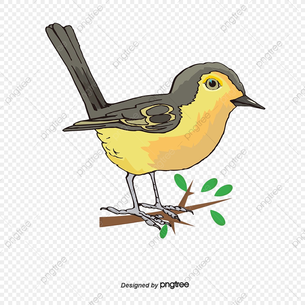 1200x1200 Sparrow, Vector, Watercolor Png And Vector With Transparent