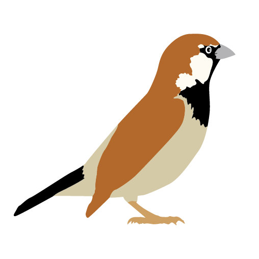 508x508 Png Sector Cartoon Sparrow Vector