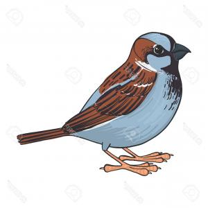 300x300 Photostock Vector Sparrow Vector Bird Hand Drawn Songbird Isolated