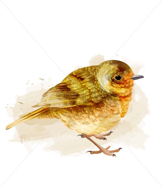 520x600 Small Sparrow Vector Watercolor Cute Bird Isolated On White