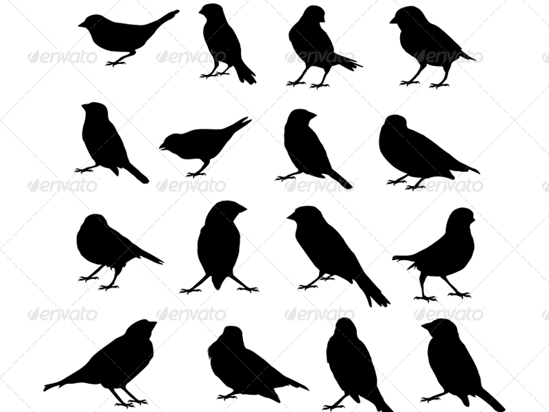800x600 Sparrow Vector Silhouettes