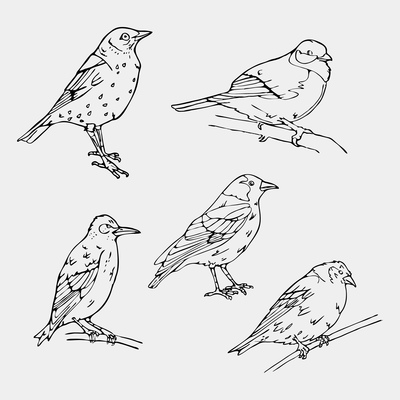 400x400 Sparrow On Curated Vector Illustrations, Stock Royalty Free Images