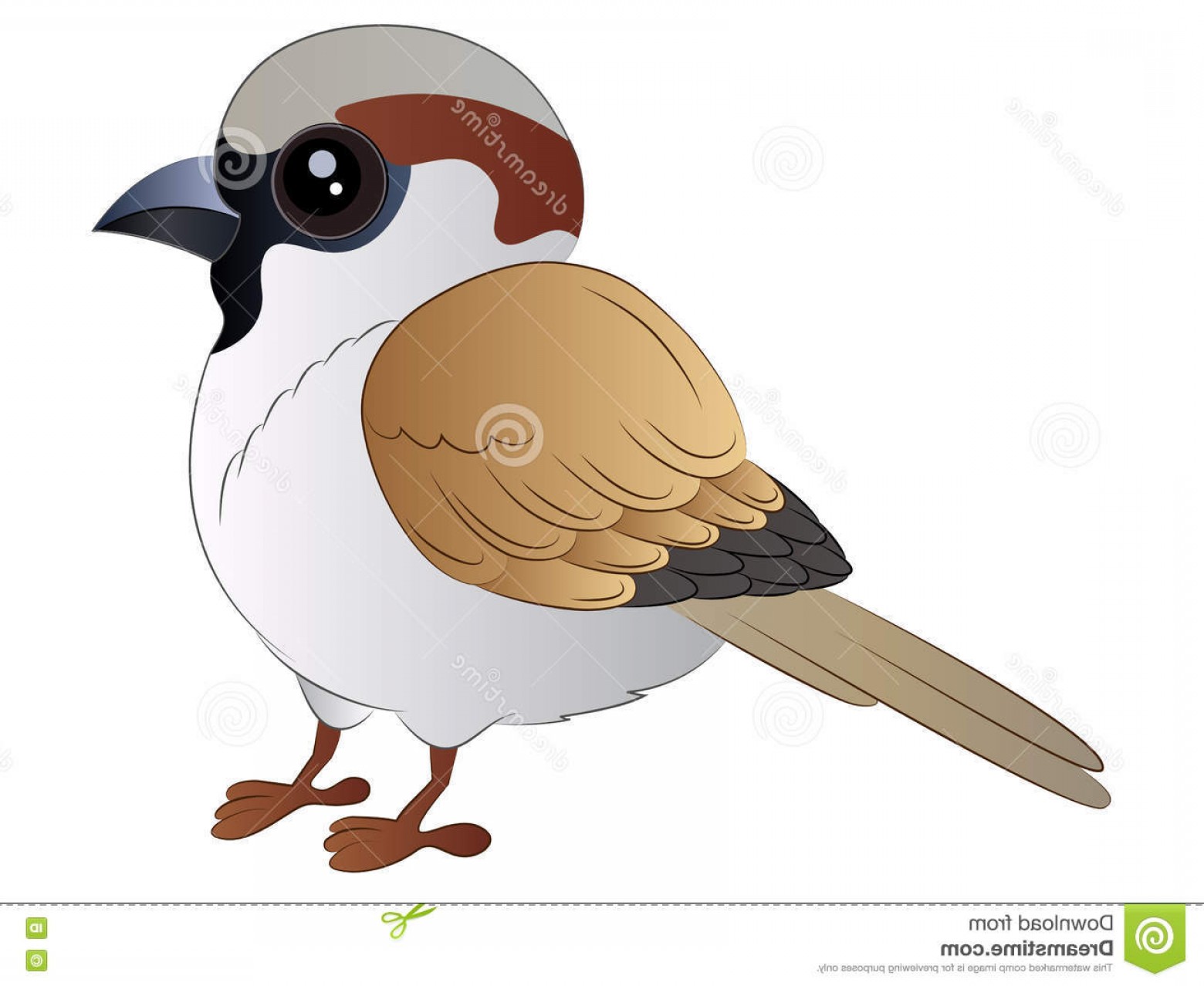 1560x1278 Stock Illustration Cartoon Sparrow Vector Illustration Clipart