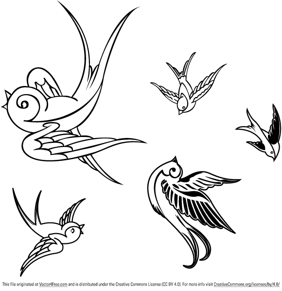 580x599 Vector Birds