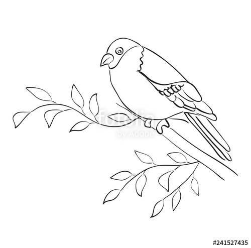 500x494 Silhouette Of Bird Sit On Branch