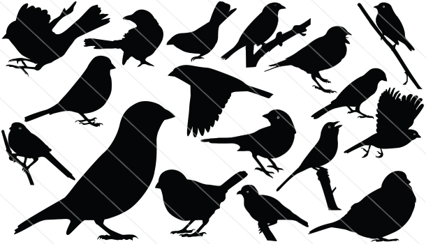 610x350 Download Sparrow Vector Clipart Sparrow Silhouette Silhouette