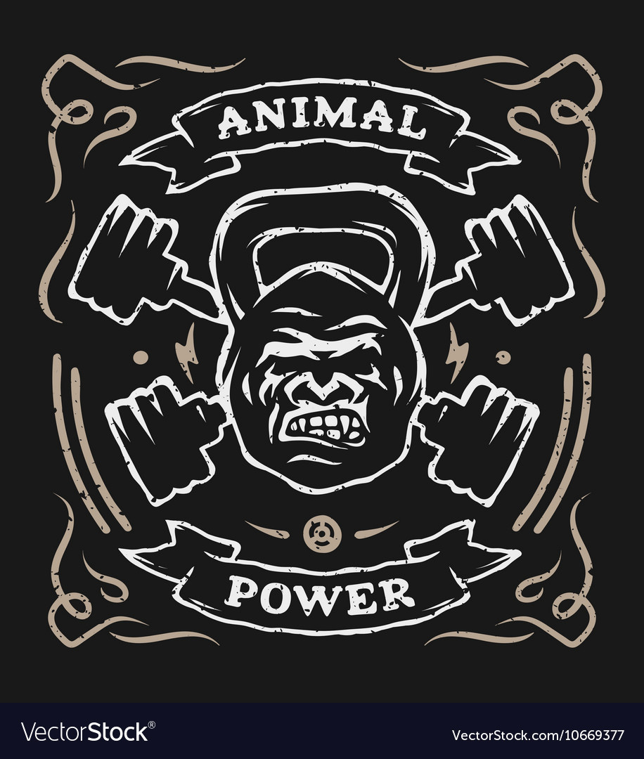 Spartan Race Logo Vector New Gorilla Gym Vector Logodesignfx 916x1080 Spartan Race Logo Vector New Gorilla Gym Vector Logodesignfx