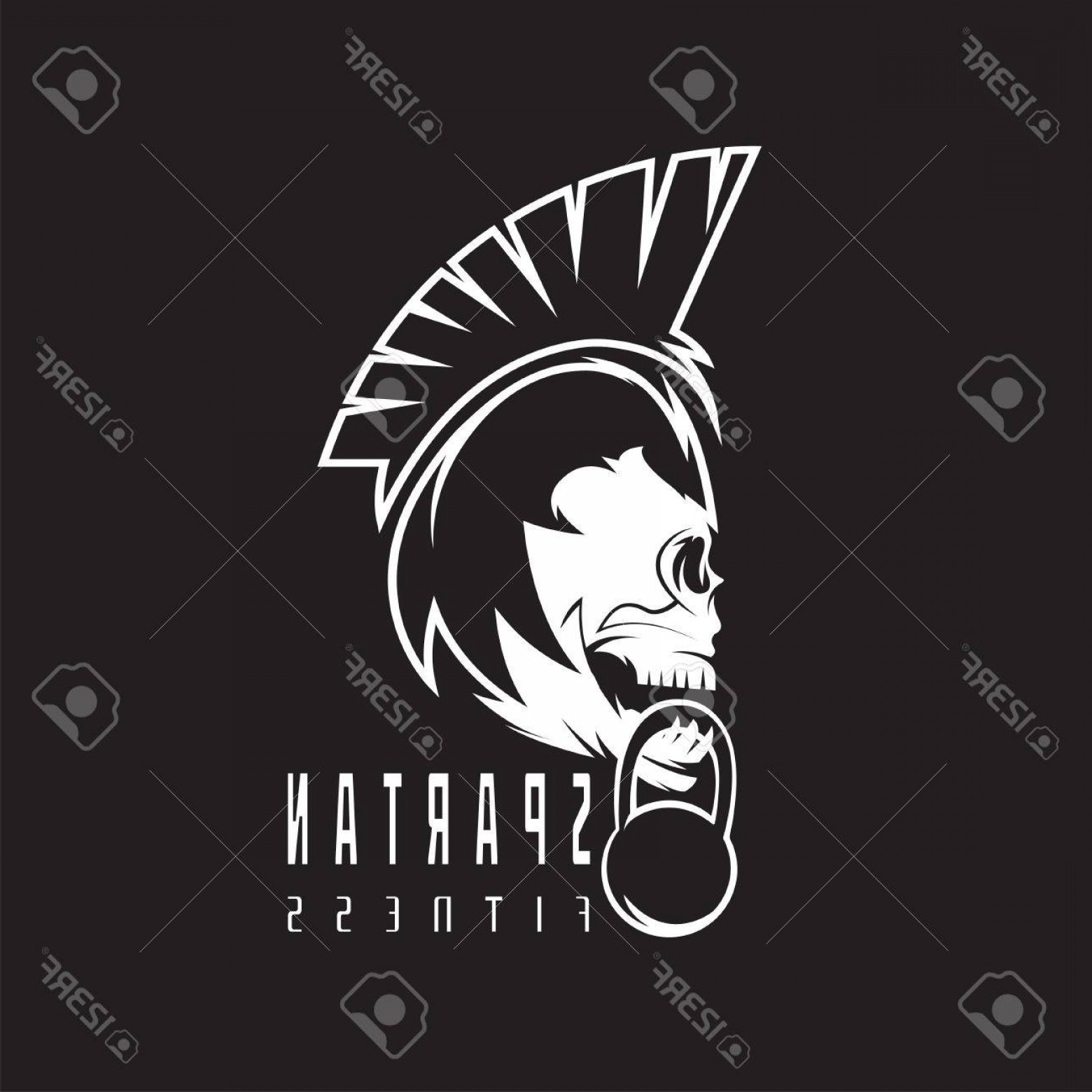 Photostock Vector Skull Spartan Warrior Fitness Vector Design 1560x1560 Photostock Vector Skull Spartan Warrior Fitness Vector Design