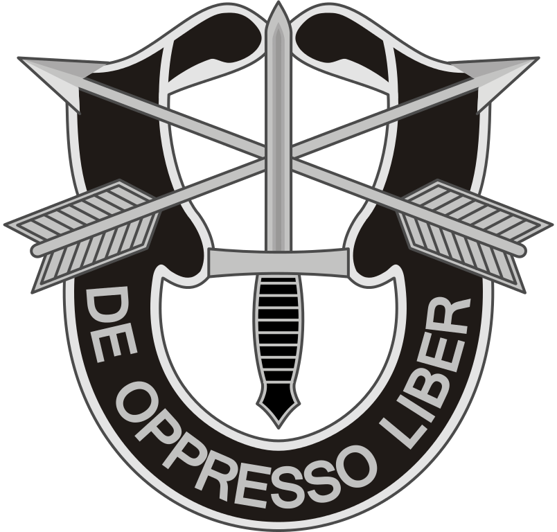 804x768 Filespecialforces Badge